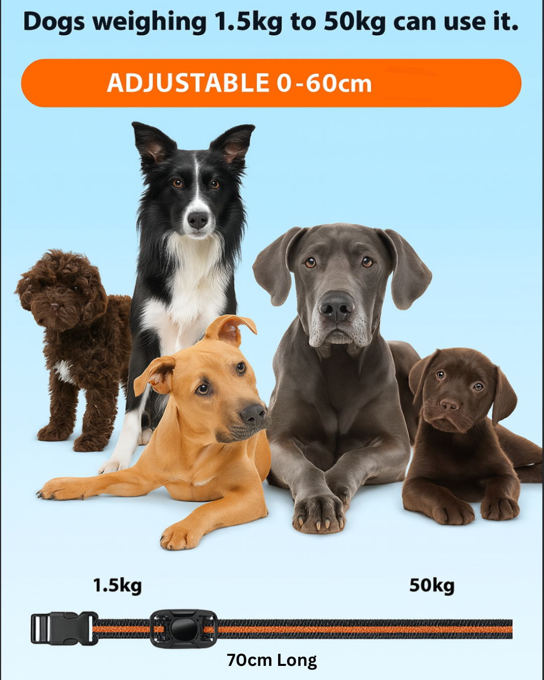 Furview 3300ft AlphaTrainer – Dog Training Remote & Collar