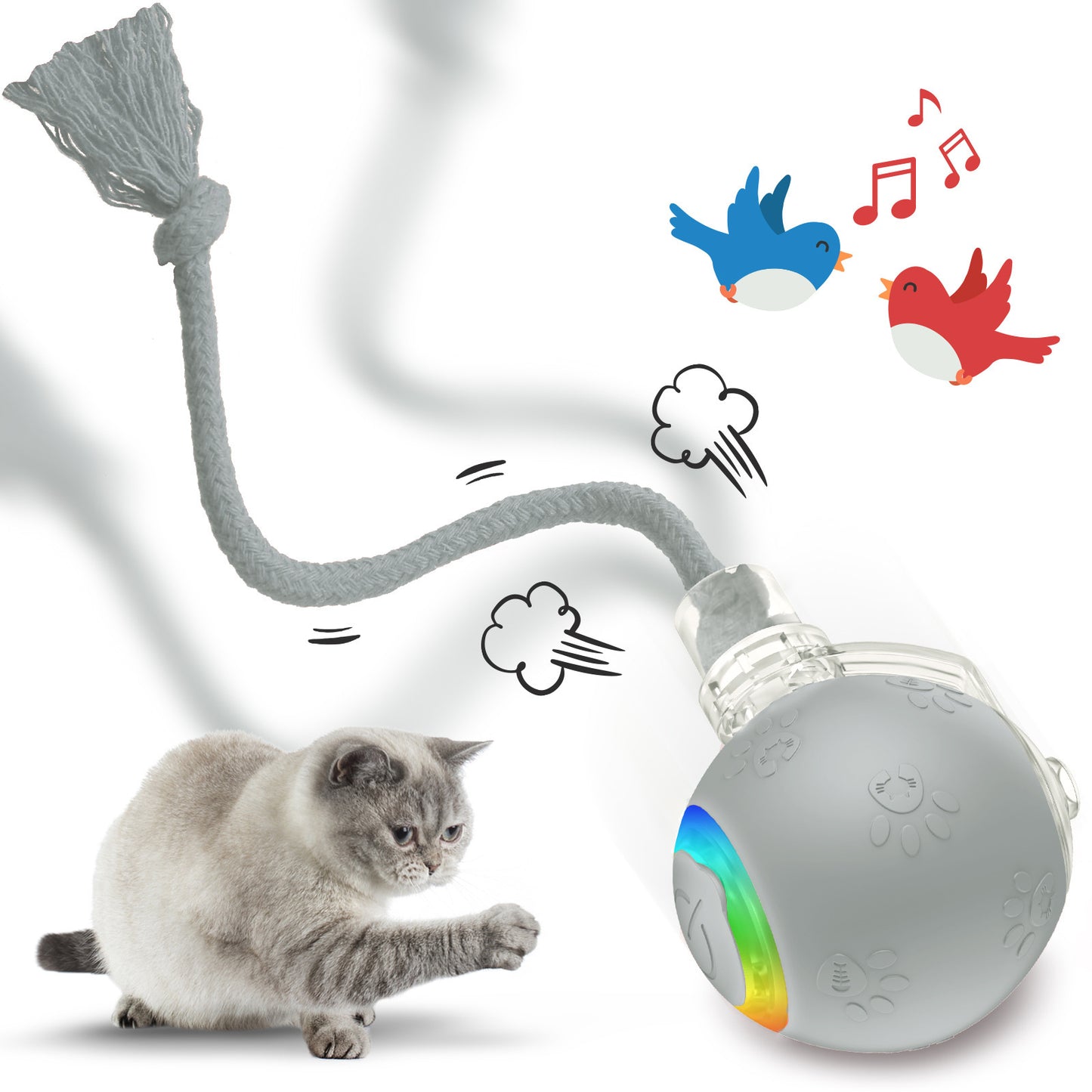 Furview Chirp Ball – Rechargeable Cat & Dog Toy
