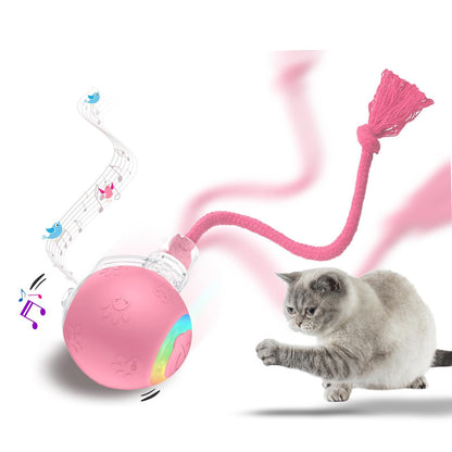 Furview Chirp Ball – Rechargeable Cat & Dog Toy