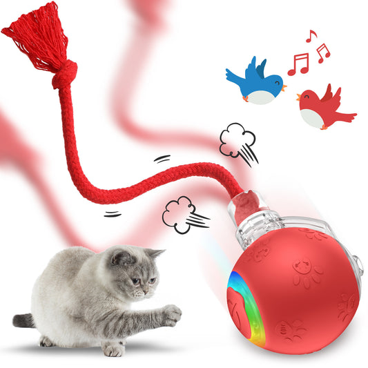 Furview Chirp Ball – Rechargeable Cat & Dog Toy
