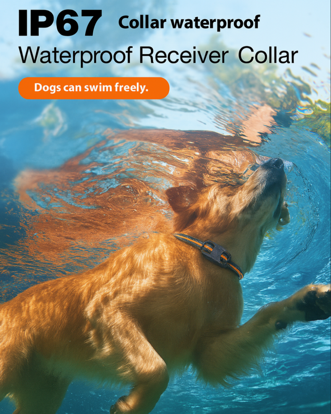 Furview 3300ft AlphaTrainer – Dog Training Remote & Collar