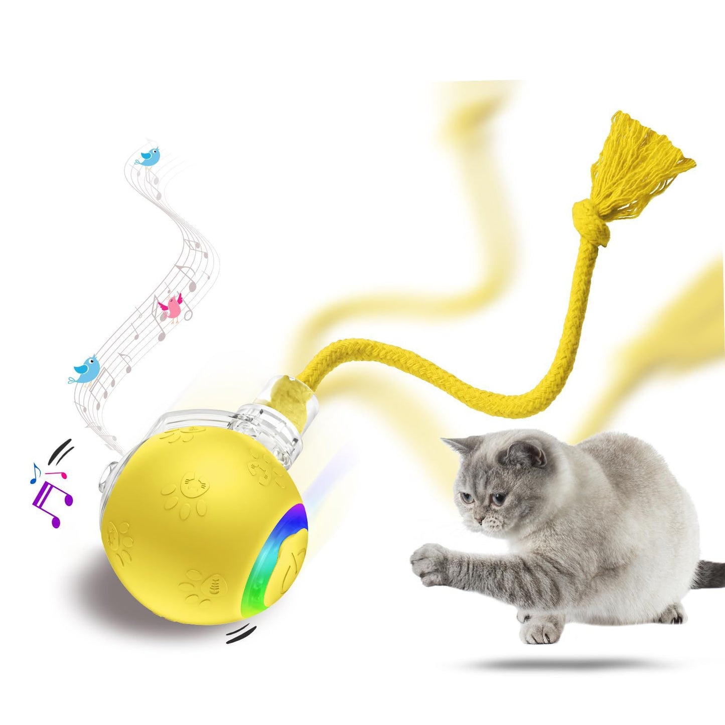 Furview Chirp Ball – Rechargeable Cat & Dog Toy