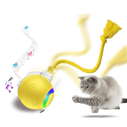 Furview Chirp Ball – Rechargeable Cat & Dog Toy