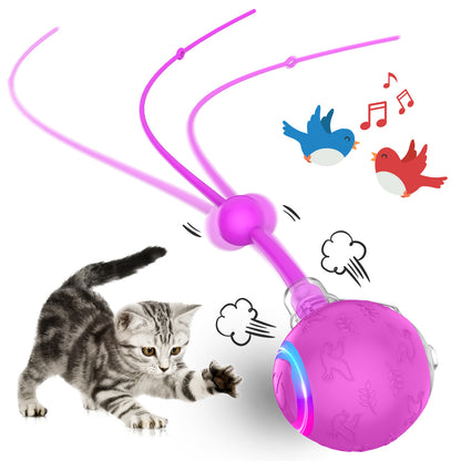 Furview Chirp Ball – Rechargeable Cat & Dog Toy