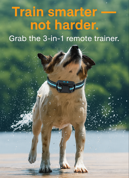 Furview 3300ft AlphaTrainer – Dog Training Remote & Collar