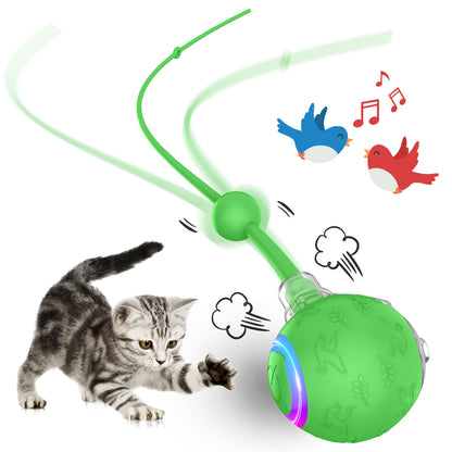 Furview Chirp Ball – Rechargeable Cat & Dog Toy