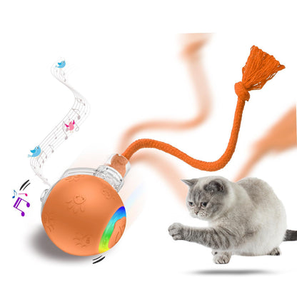 Furview Chirp Ball – Rechargeable Cat & Dog Toy